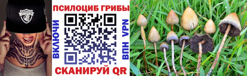 купить наркотик  Балей  Галлюциногенные грибы Magic Shrooms 