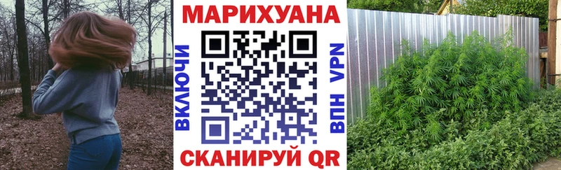 МАРИХУАНА LSD WEED  где можно купить наркотик  Балей 